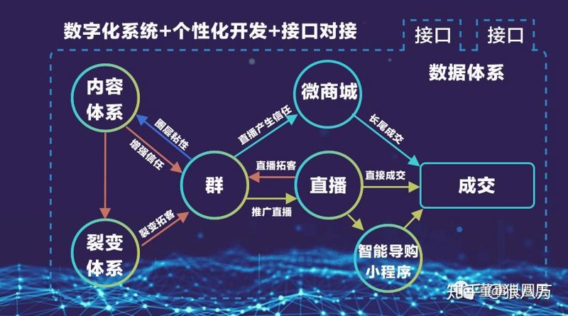 私域运营系统